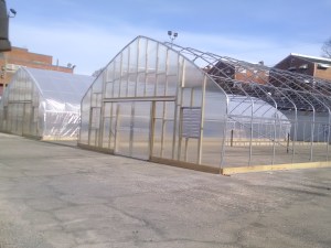 Greenhouse construction for UDC Urban Food Hub at UDC-CC Backus